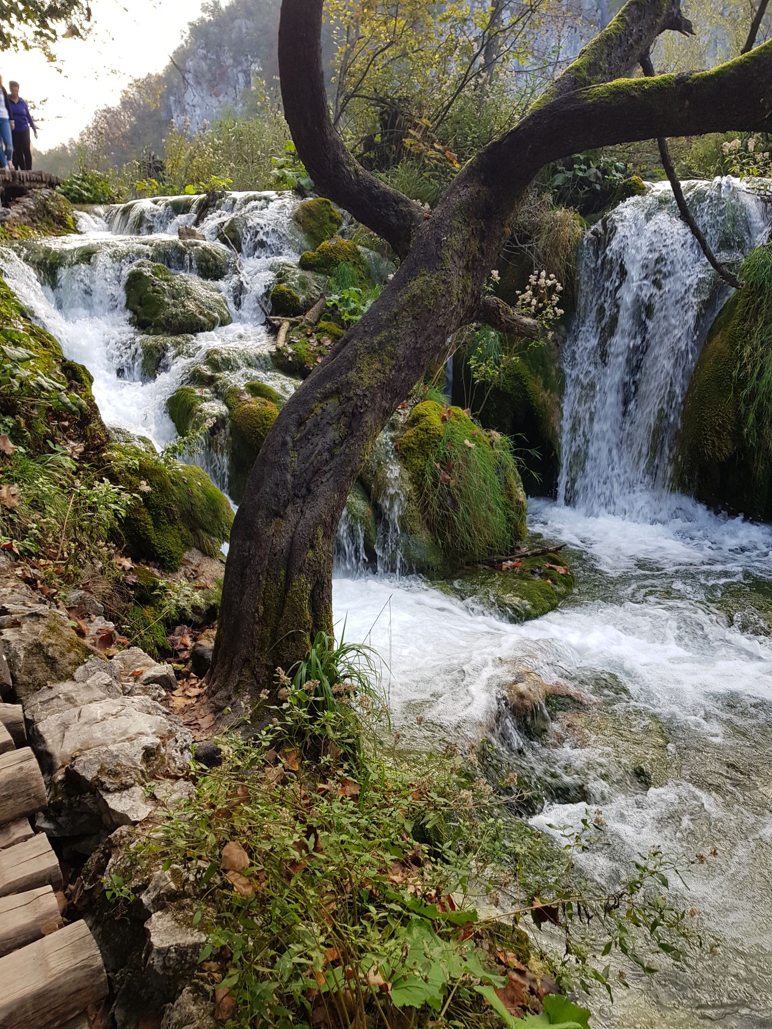 Magnificent view of waterfall at Plitvice lakes